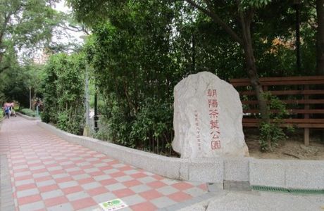 Zhaoyang Tea Park