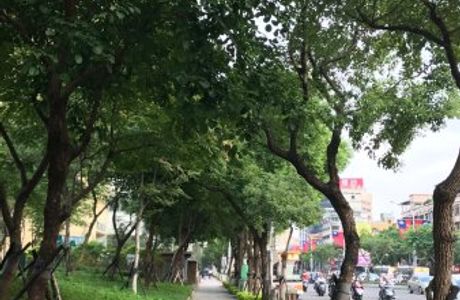 Banqiao Wanping Park