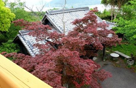 Mt. Hiraki Viewing Platform