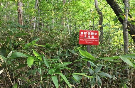 Maruyama Genshirin