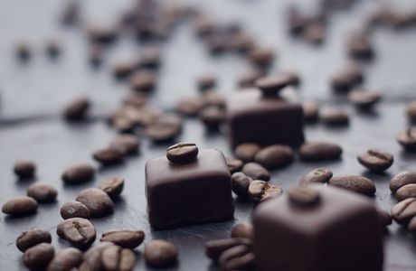 Artisan Chocolate Workshop