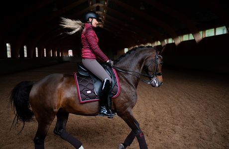 Sedgeway Equestrian