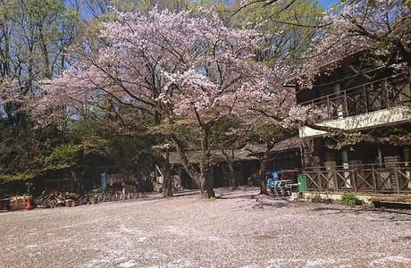 Kawasakishi Kurokawa Seishonen Yagaikatsudo Center