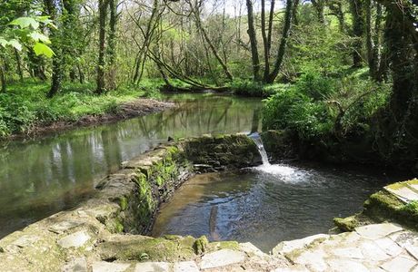 Egloshayle to Dinham Bridge