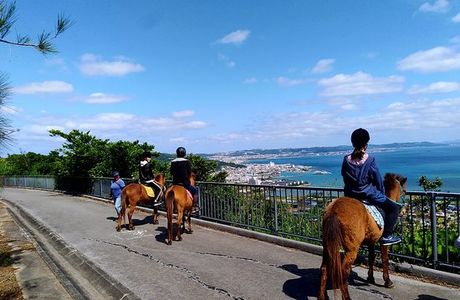 Umikaze Horse Farm
