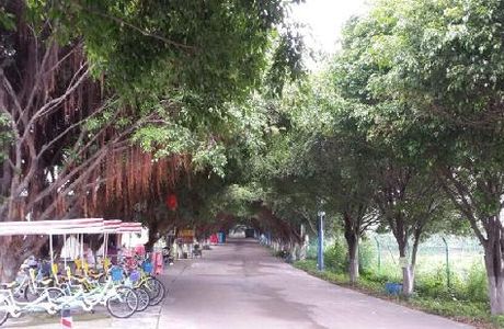 Haishou Island