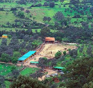 Farilya Horse Riding