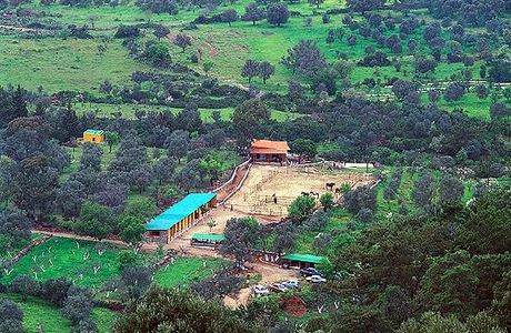 Farilya Horse Riding