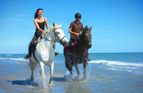 Cayman Horse Riding