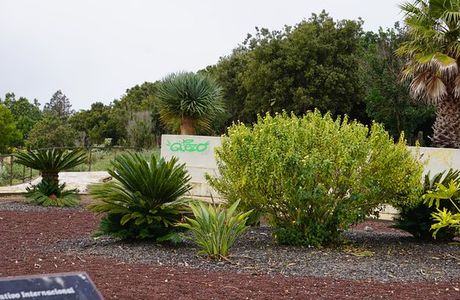 Mesa Mota Monument and Picnic Area