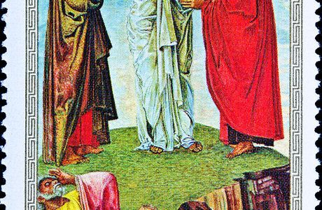 Transfiguration Link 7