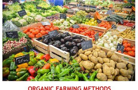 Chagusa Farming Methods Viewpoint 3