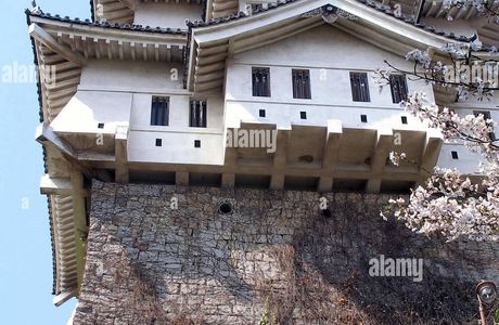 Onomichi Castle