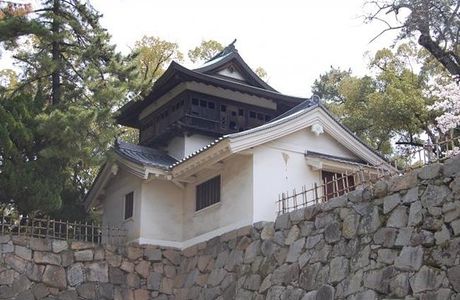 Kane Yagura