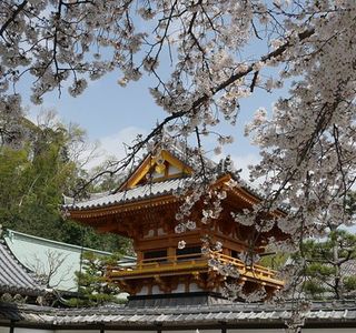 Tandenan (Rakugaki-dera Temple)