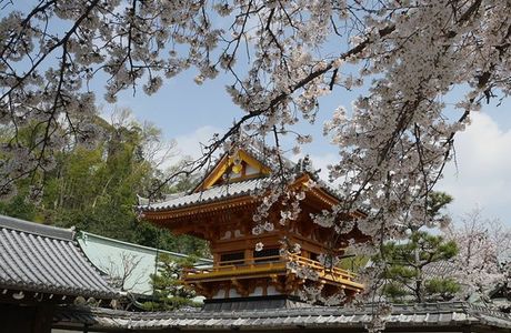 Tandenan (Rakugaki-dera Temple)