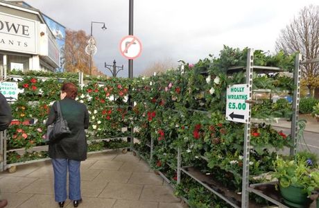 Matthew Webb monument