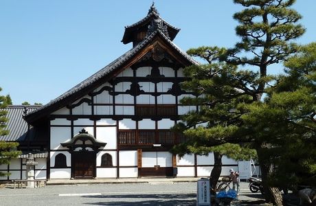 Shokoku-ji Temple Sakiwake no Chiritsubaki