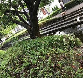 Mutsujimizube Park
