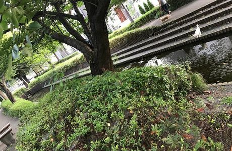 Mutsujimizube Park