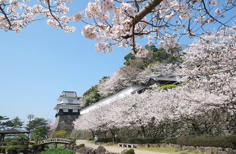 Kubara Park
