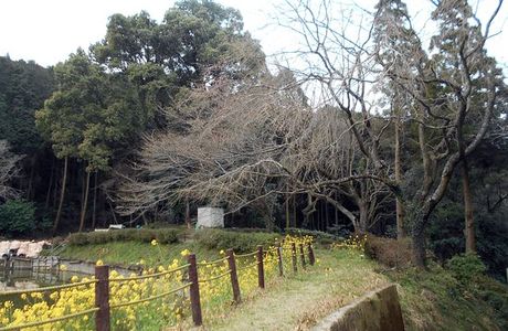 Oji Ikoi no Mori