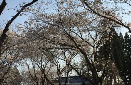 Tarumizu Park