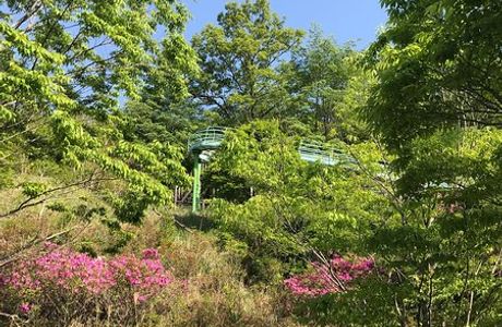Naokawa Ikoi no Mori Park