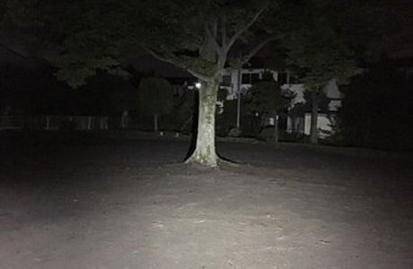 Fujimi Park