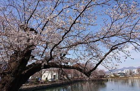 Mitsudera Park