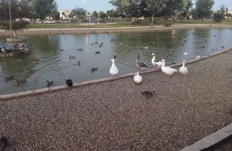 Parque Laguna del Moral