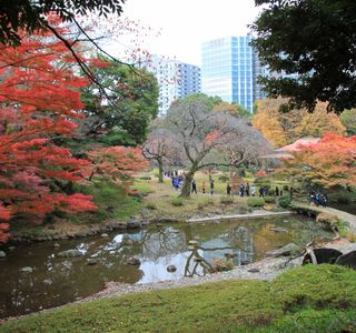 Koishikawa Park