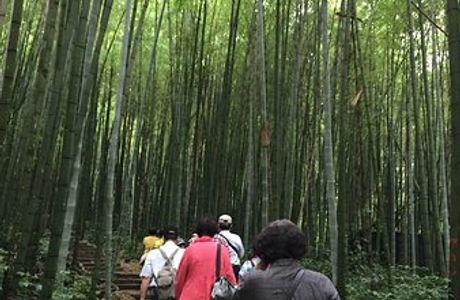 Dinghu Ecological Park