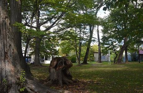 Torinuma Park