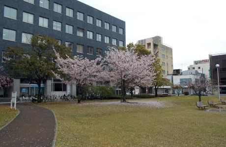 Ryogaecho Park