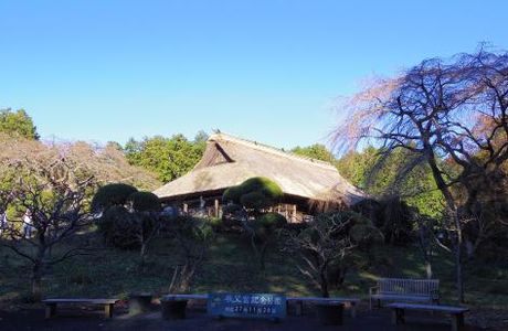 Chichibunomiya Memorial Park