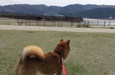 Nagahama Kaihin Park
