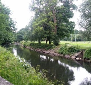 Newbridge Fields