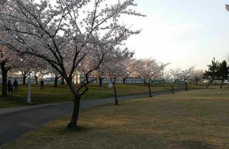 Niida Park