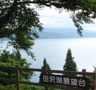 Katamaeyama Forest Park