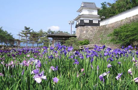 Omura Sumitada Historic Park