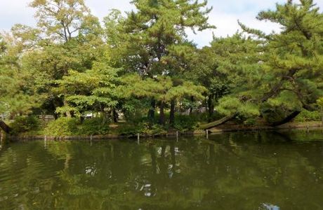 Sakuranotsuji Park