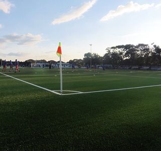 Hartsdown Park