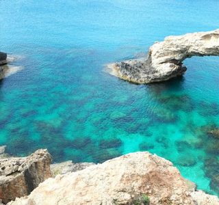 Monachus Monachus Arch