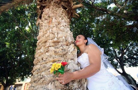 Marriage Tree