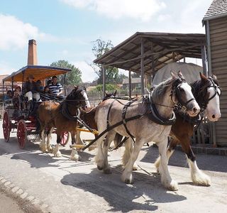 Carriage Back Lane