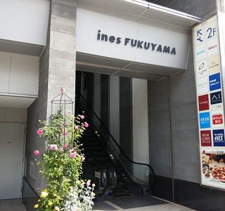 Ines Fukuyama