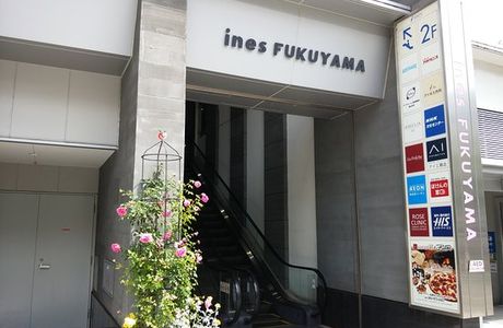 Ines Fukuyama