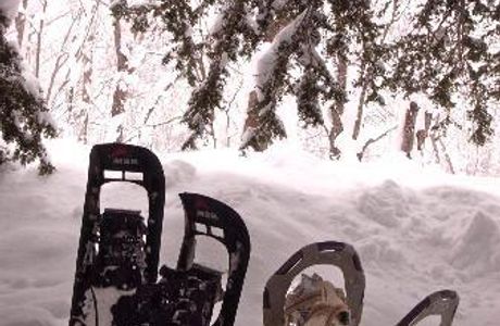 Niseko Custom Tours