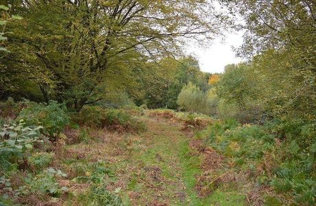 Danemead Nature Reserve